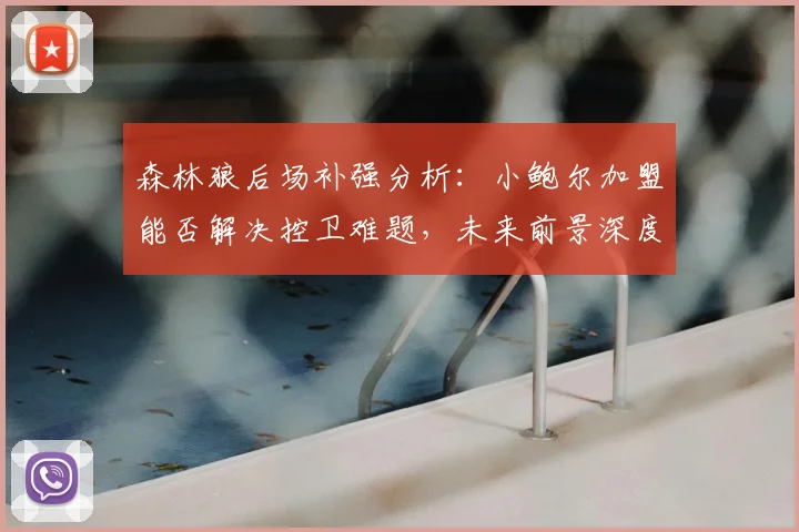 森林狼后场补强分析：小鲍尔加盟能否解决控卫难题，未来前景深度解读