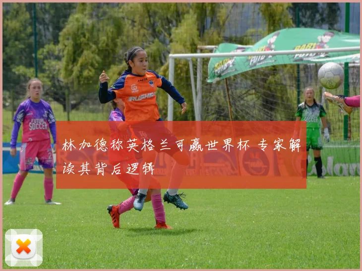 林加德称英格兰可赢世界杯 专家解读其背后逻辑